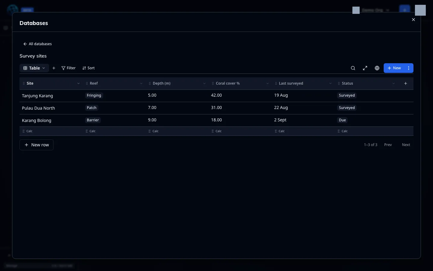 A database in a wiki space — typed columns, rows, and the view bar
